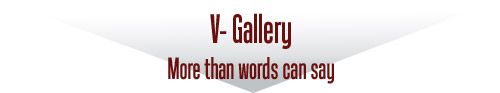 V-Gallery - More than words can say